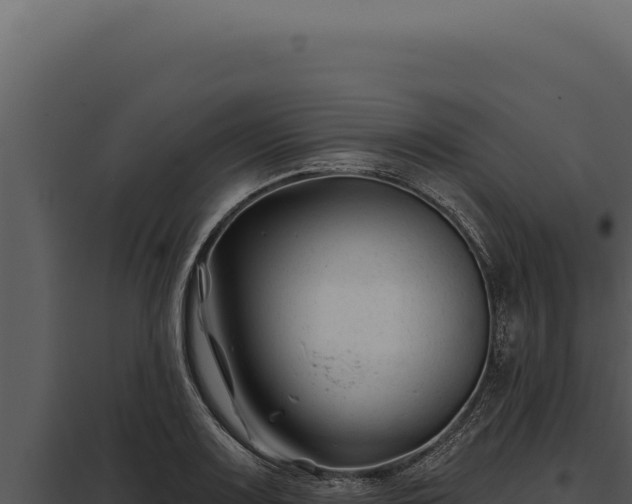 X0000097971083200804011715
