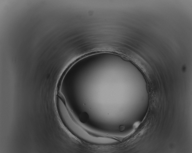 X0000097971084200804011715