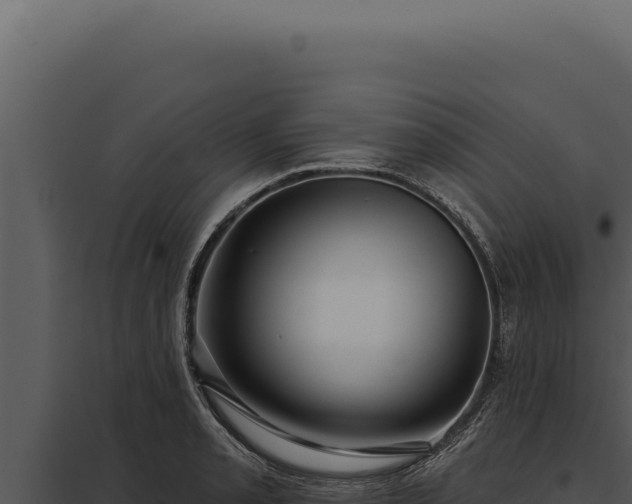 X0000097971085200804011715