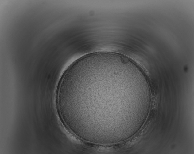X0000097971086200804011715