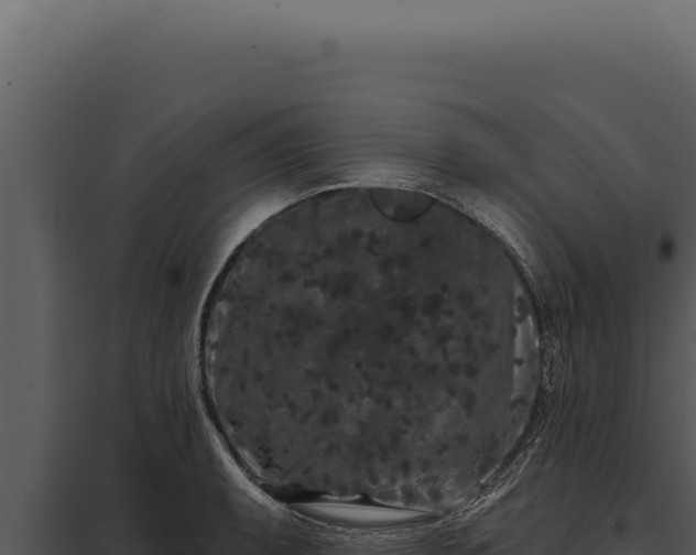 X0000097971087200804011715
