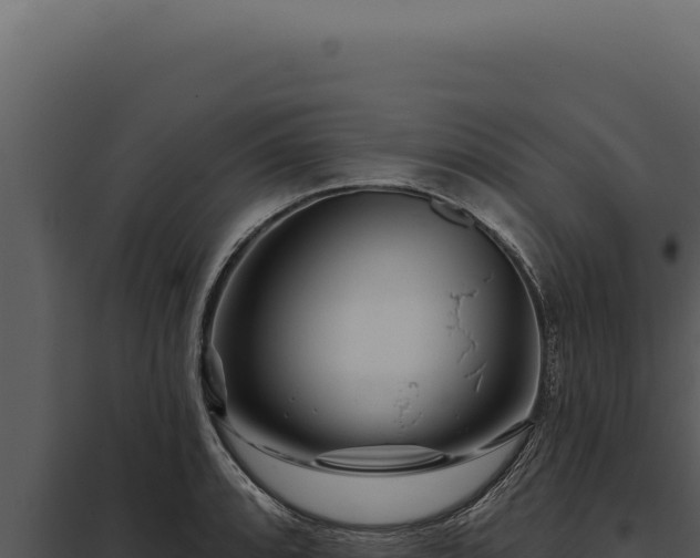 X0000097971088200804011715