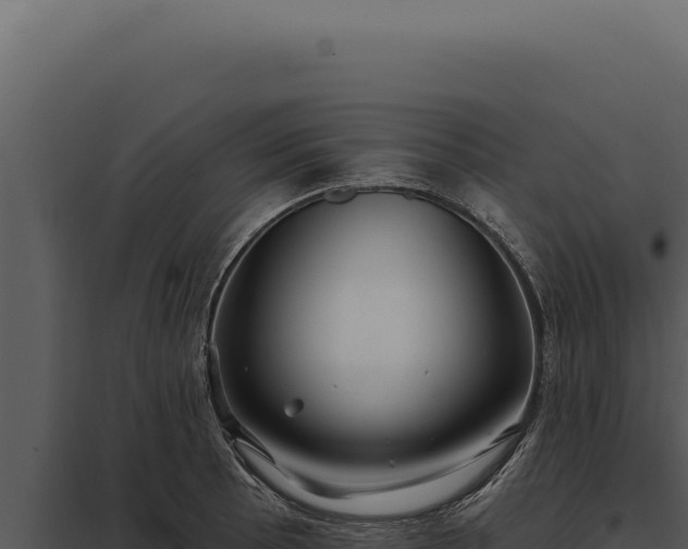 X0000097971089200804011715