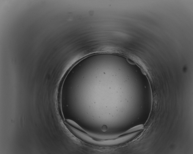 X0000097971091200804011715