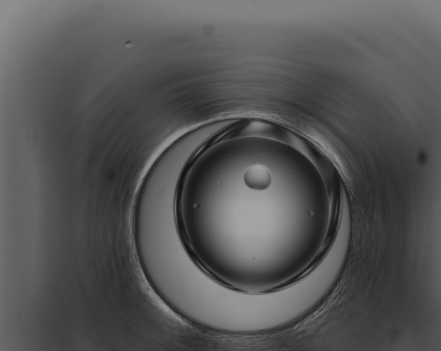 X0000097971092200804011715