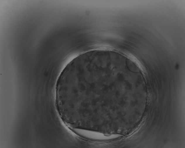 X0000097971095200804011715