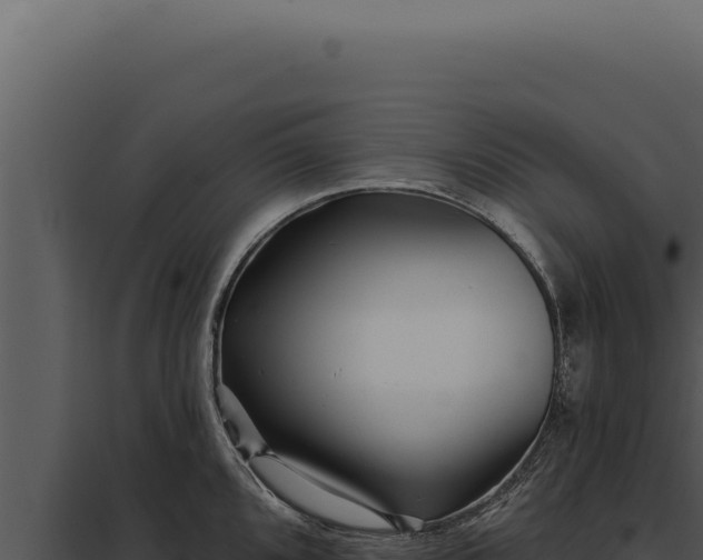 X0000097971096200804011715