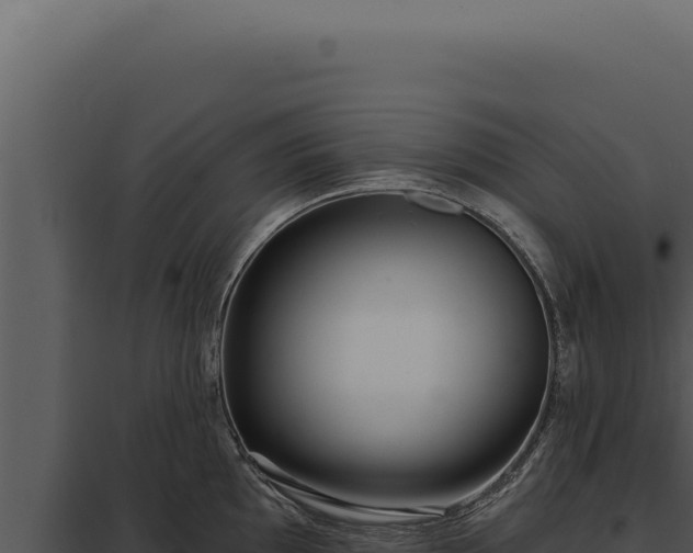 X0000097971097200804011715