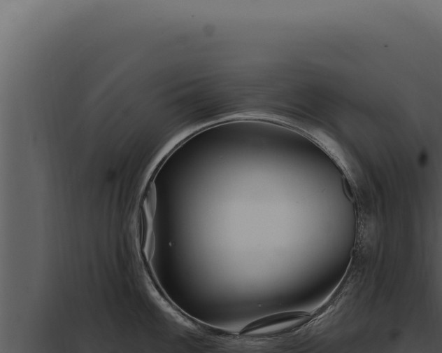 X0000097971100200804011714