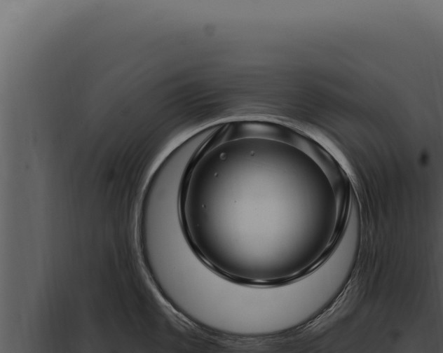 X0000097971101200804011714
