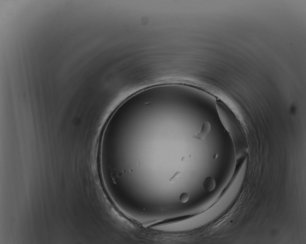 X0000097971102200804011714