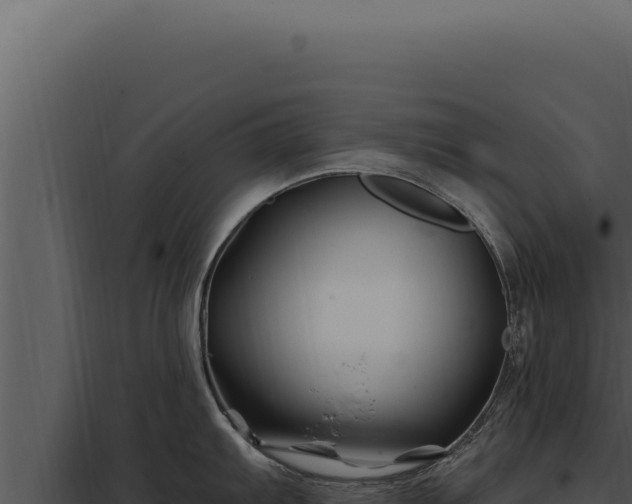 X0000097971103200804011714