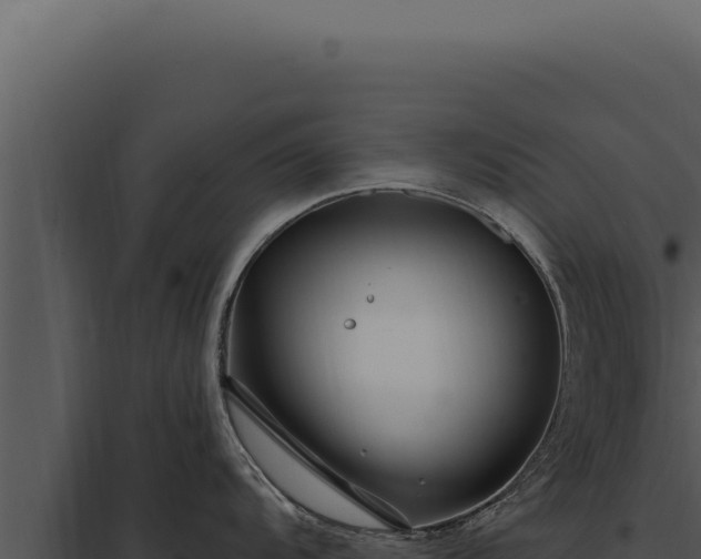 X0000097971104200804011714