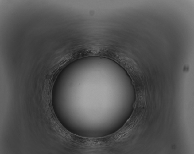 X0000097971105200804011714