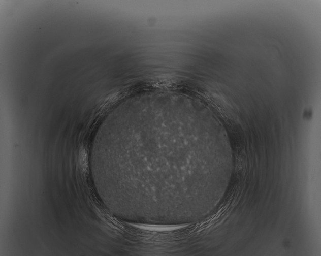 X0000097971106200804011714