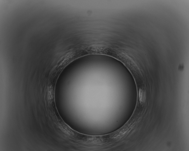 X0000097971107200804011714
