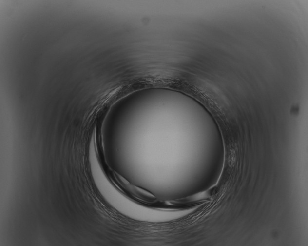 X0000097971108200804011714