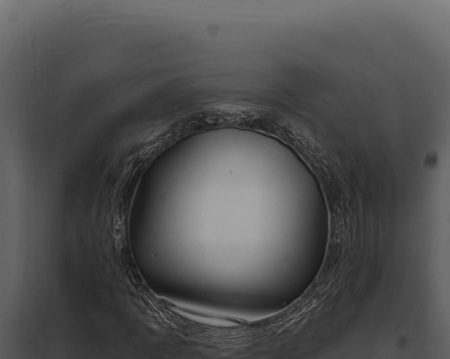 X0000097971109200804011714