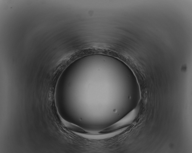 X0000097971110200804011714