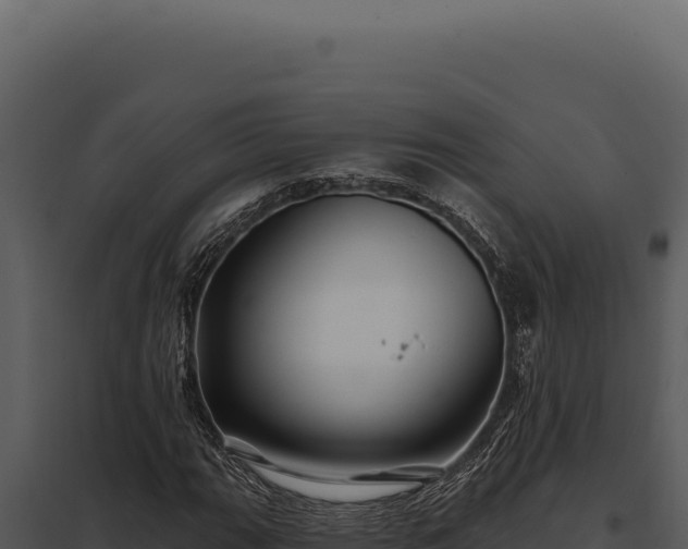 X0000097971111200804011714