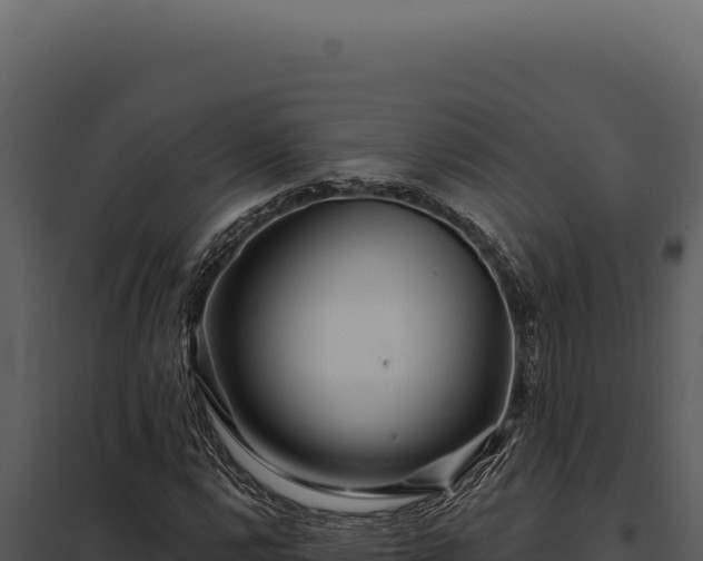 X0000097971112200804011714