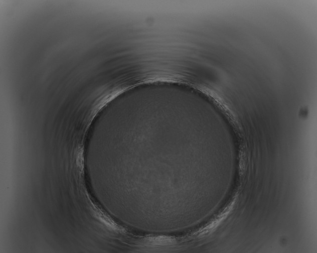 X0000097971113200804011714