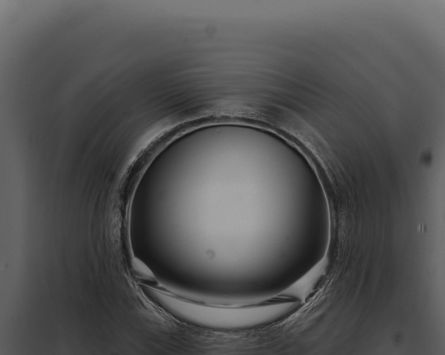 X0000097971115200804011714