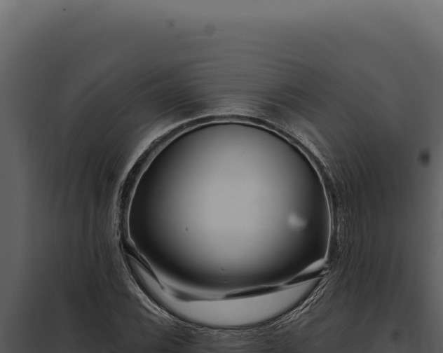 X0000097971116200804011714