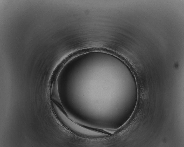 X0000097971118200804011714