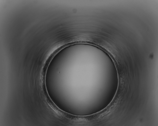 X0000097971119200804011714