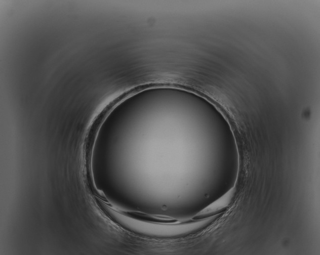 X0000097971120200804011714