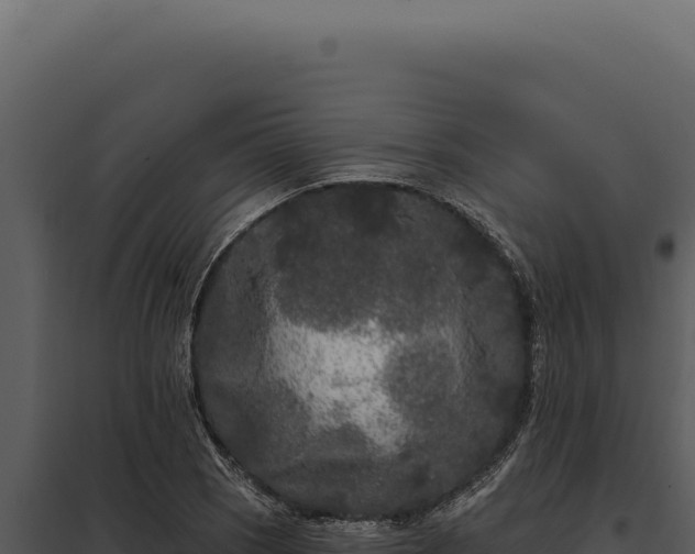 X0000097971121200804011714