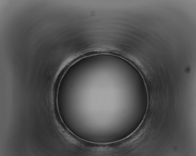 X0000097971122200804011714