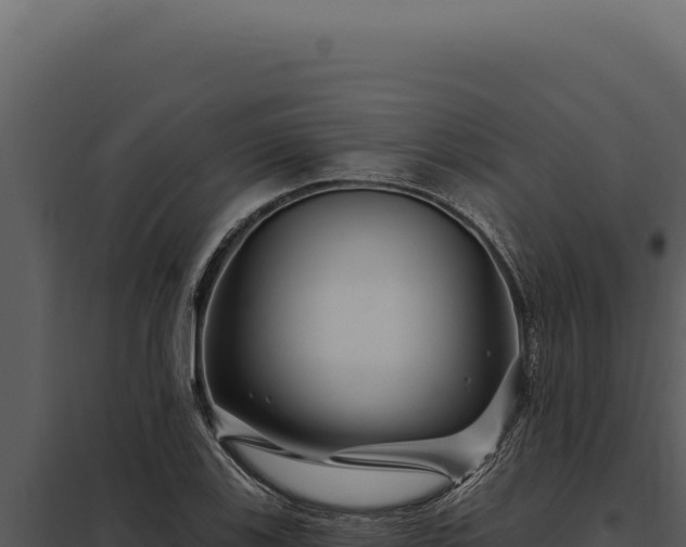 X0000097971123200804011714