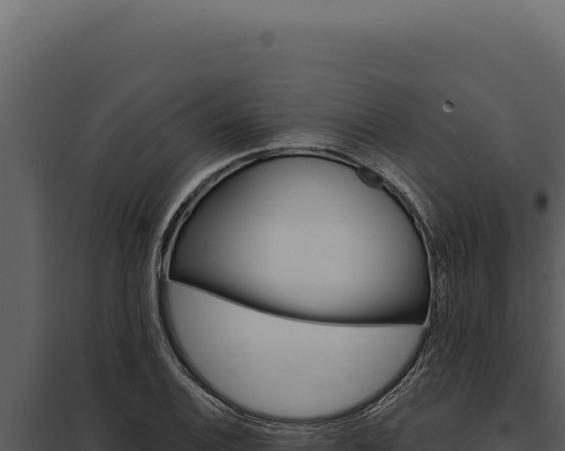 X0000097971124200804011714