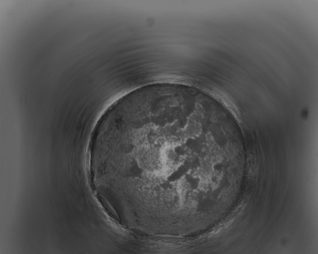 X0000097971125200804011714