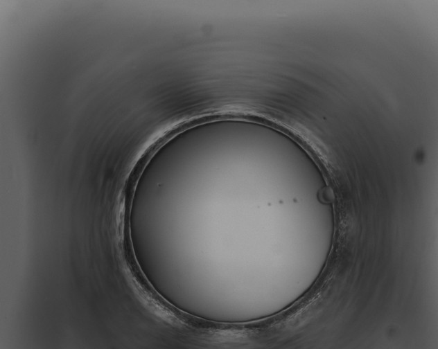 X0000097971126200804011714