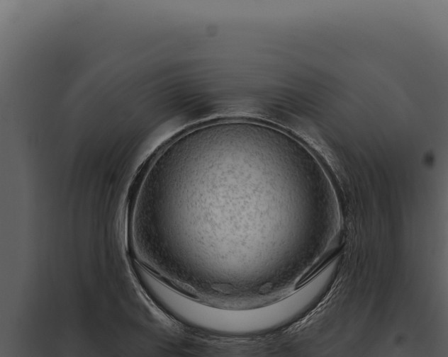 X0000097971127200804011714