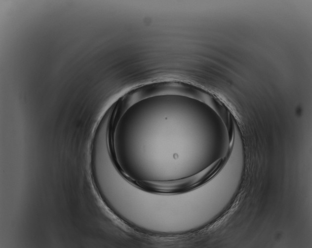 X0000097971134200804011714
