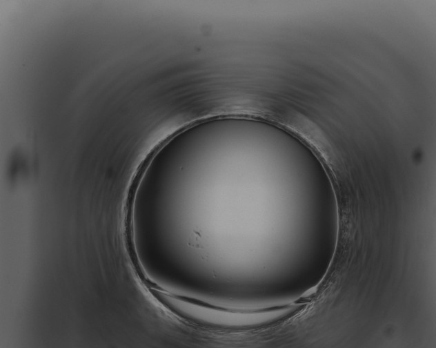 X0000097971135200804011714