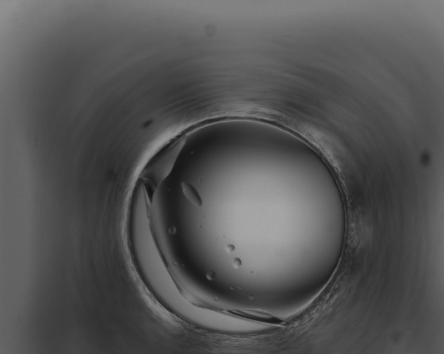 X0000097971136200804011714