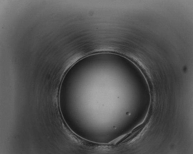 X0000097971137200804011714