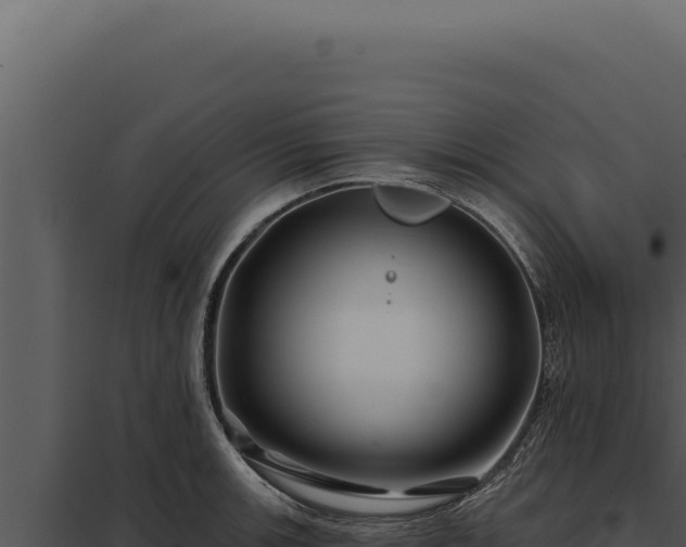 X0000097971139200804011714