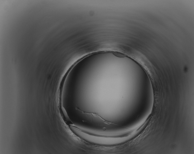 X0000097971140200804011714