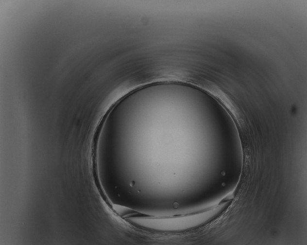 X0000097971143200804011714