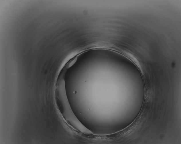X0000097971146200804011714