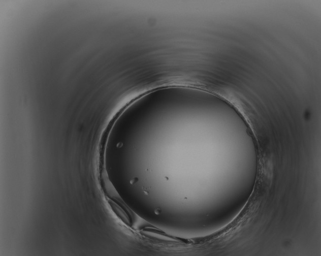 X0000097971147200804011714