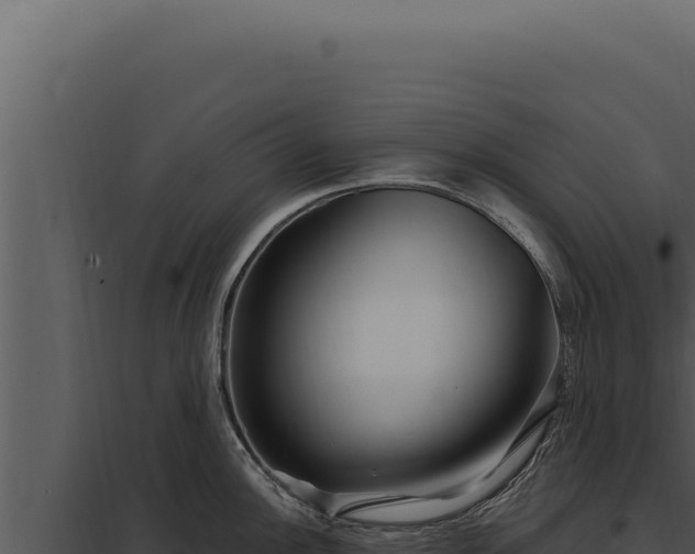 X0000097971148200804011714