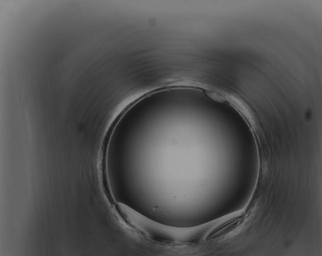 X0000097971149200804011714