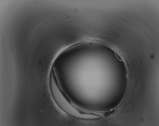 X0000097971152200804011714